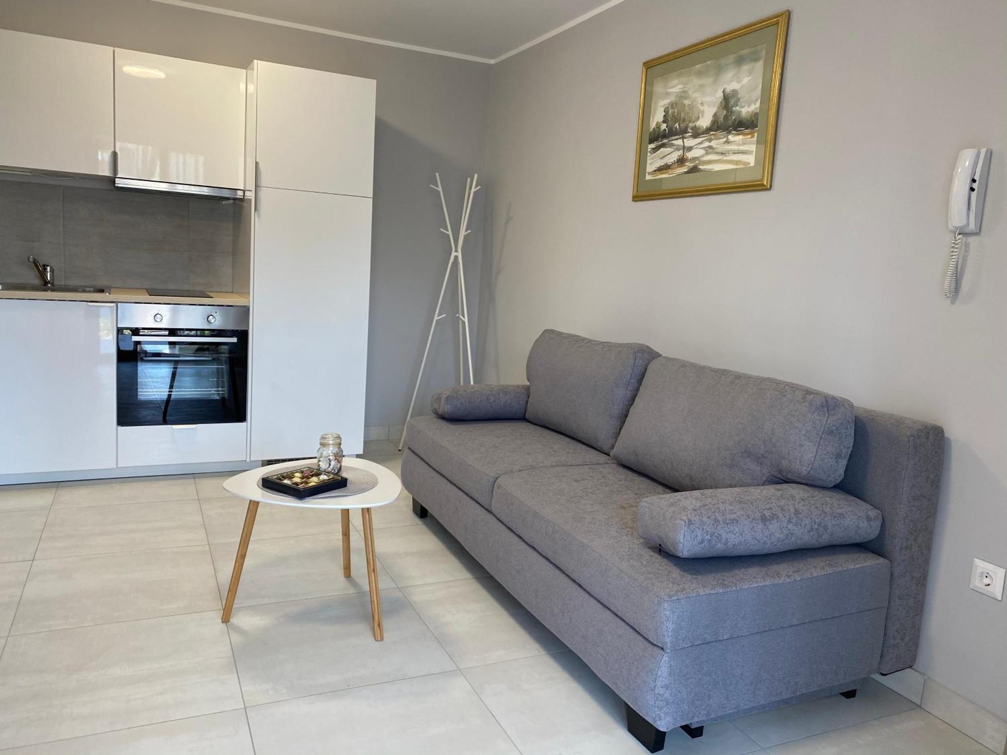 Green House Apartments 노비비노돌스키 객실 사진
